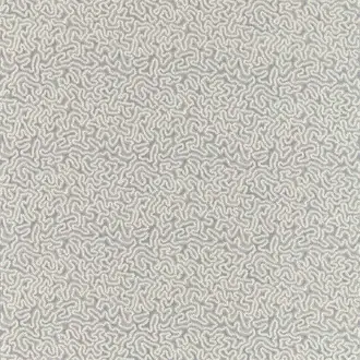 Maze Coral 332973