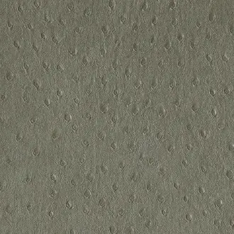 Balule 08 Steeple Grey