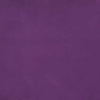 Alaska Aubergine
