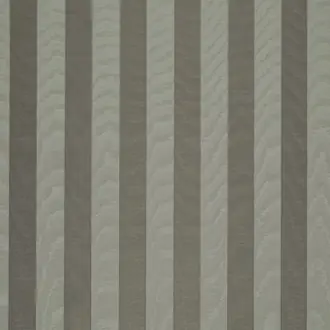 Moire Stripe JT02 1045 005