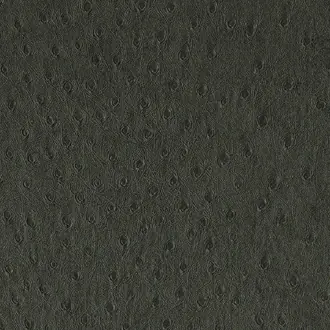 Balule 09 Charcoal