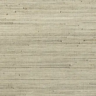 Infini 48021
