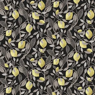 Limone ILA101