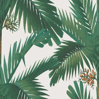 Palm Spring R17572