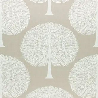 Mulberry Tree F910601