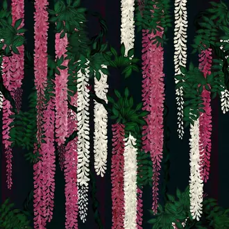 Wisteria Alba PCL7032-01