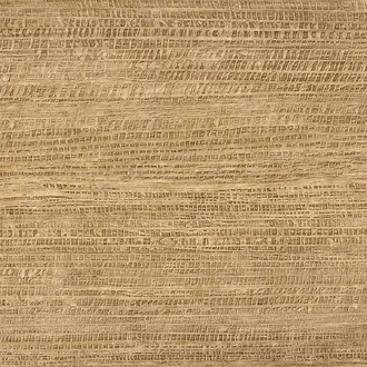 Sinabaye HPC CV-115-07