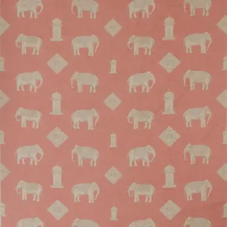 Bolo Pink