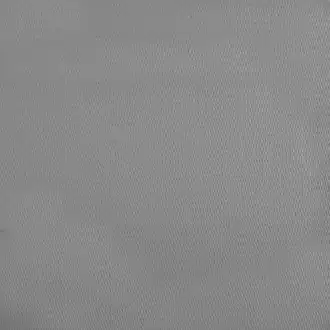 Potala Silver