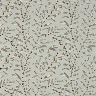 Chaconia 132292