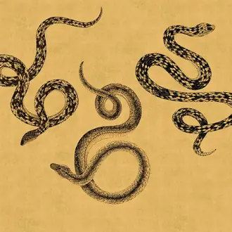 Serpent 10602