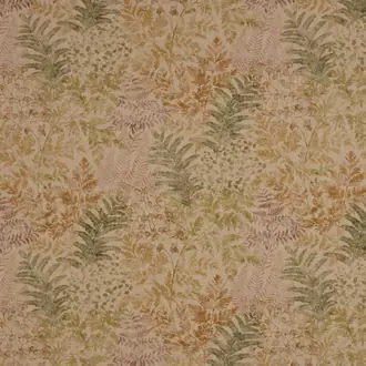 Sylvan Elm