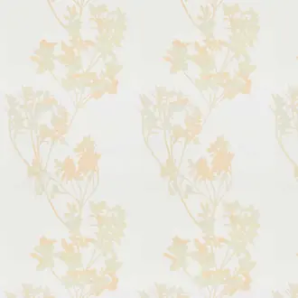 Rosaly 1-8898-030