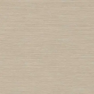 Montauk MR-FV-31389