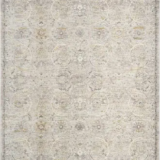 Antique Fusion ANF03 Light Grey Rug