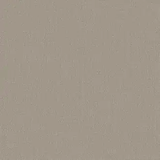 Dune 11064881