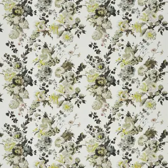Seraphina II FDG2366-02