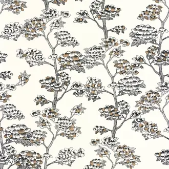 Jardin De Kyoto 102990922