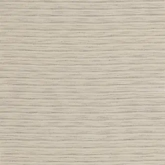 Lacuna ED85376-104
