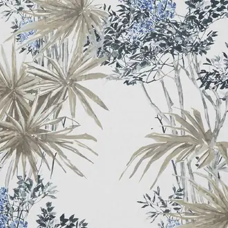 Cassia 3869-01