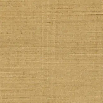 Abaca ABA13