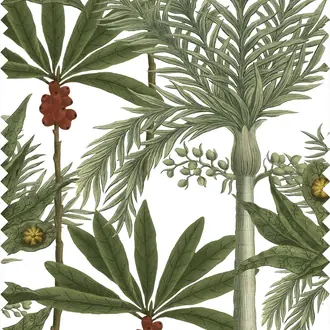 Madagascar Linen FB00031