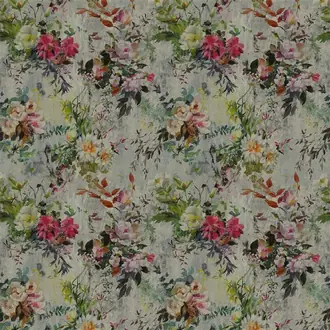 Aubriet Lino FDG2560-01