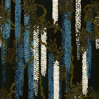 Wisteria Alba PCL7032-02