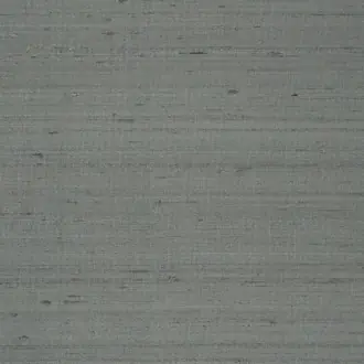 Regent Taffeta FRC2173-06