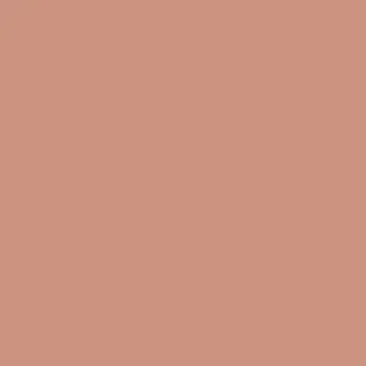 Chrysanthemum Paint