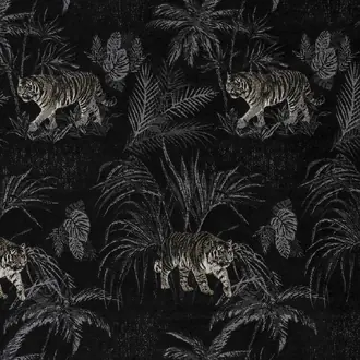 Bengal Noir