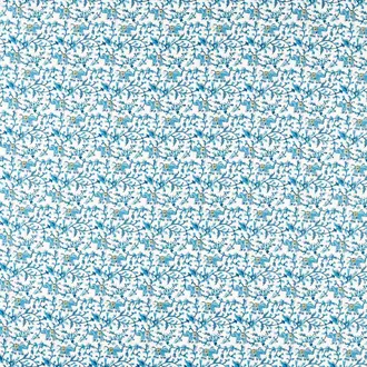 Hathi F1812-01