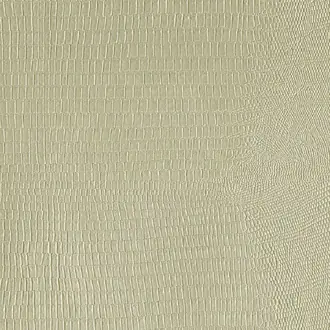 Kalimba 04 Feather Grey