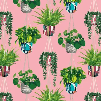 Houseplant GRA50109W