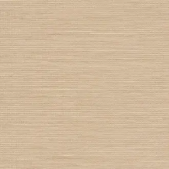 Cazenac 7060 02 97