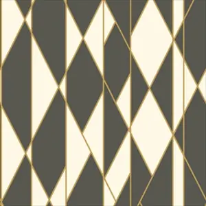 Oblique 105-11049