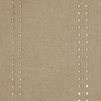 Studs & Stripes Vertical Champagne on Linen 5789-V
