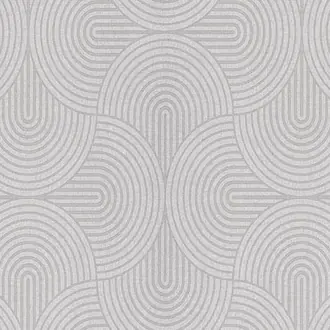 Earth EAR604 Silver