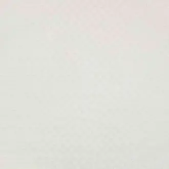Alumina V3489-01