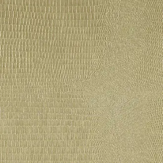 Kalimba 05 Wheat