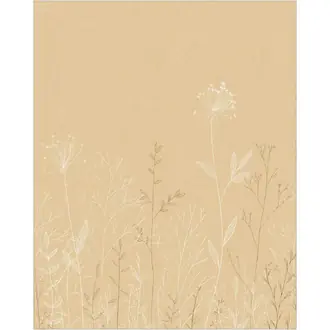 Field Line 107221005