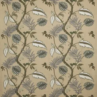Roji Juniper