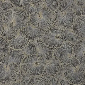 Lotus 09
