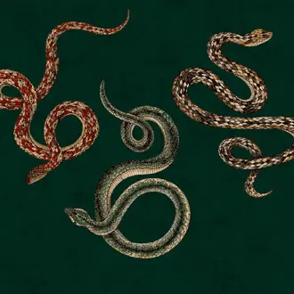 Serpent 10604