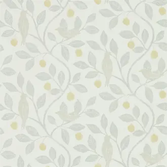 Damson Tree 216363