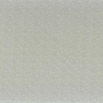 Tarana 40600630