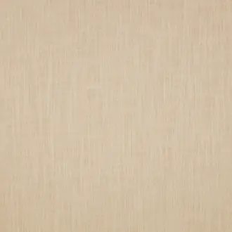 Healey Birch