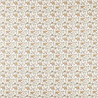 Hathi F1812-02
