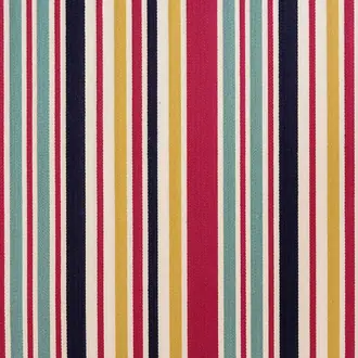 Roseland Stripe Carnival