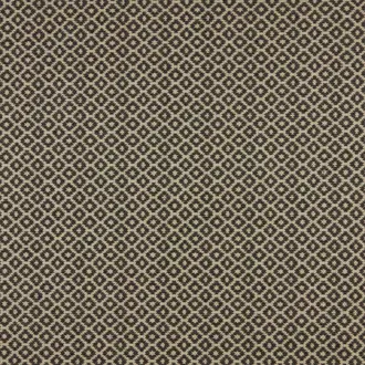 Berber Aniseed